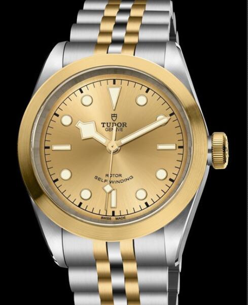 Tudor Replica Watch Black Bay 41 S&G M79543-0002 Steel - Champagne Dial - Bracelet Steel and Yellow Gold