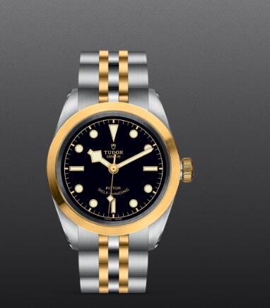 Replica Watch New TUDOR Black Bay 32 S&G Swiss Dive Watch M79583-0001 Yellow gold bezel Steel and yellow gold bracelet